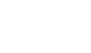 sec Logo